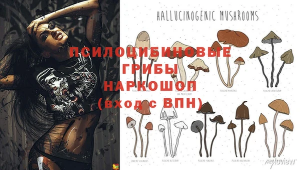 jwh Алексин