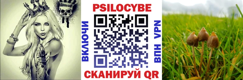 Псилоцибиновые грибы Magic Shrooms OMG tor Краснообск