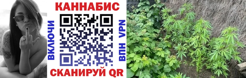 Конопля семена цена Краснообск